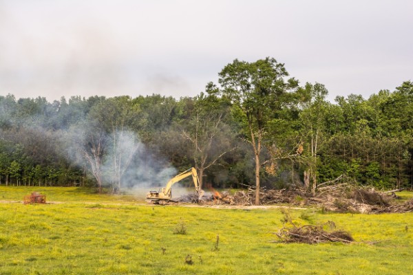 land clearing